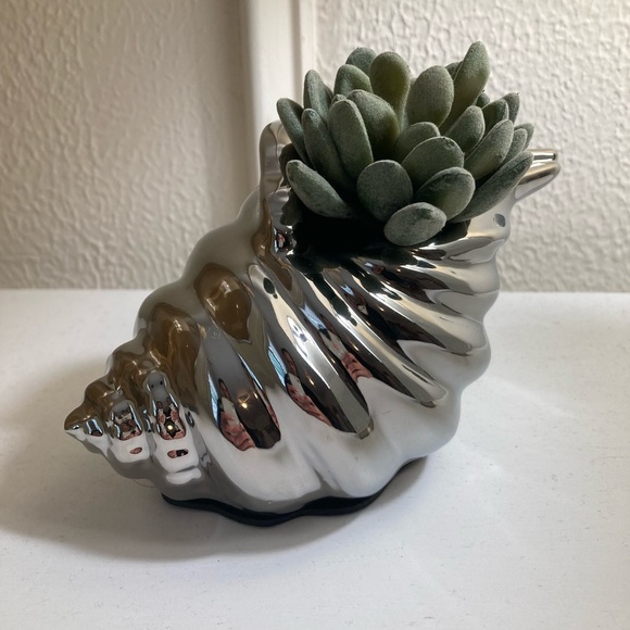 Ceramic Sea Shell Silver - Picture 5 of 5